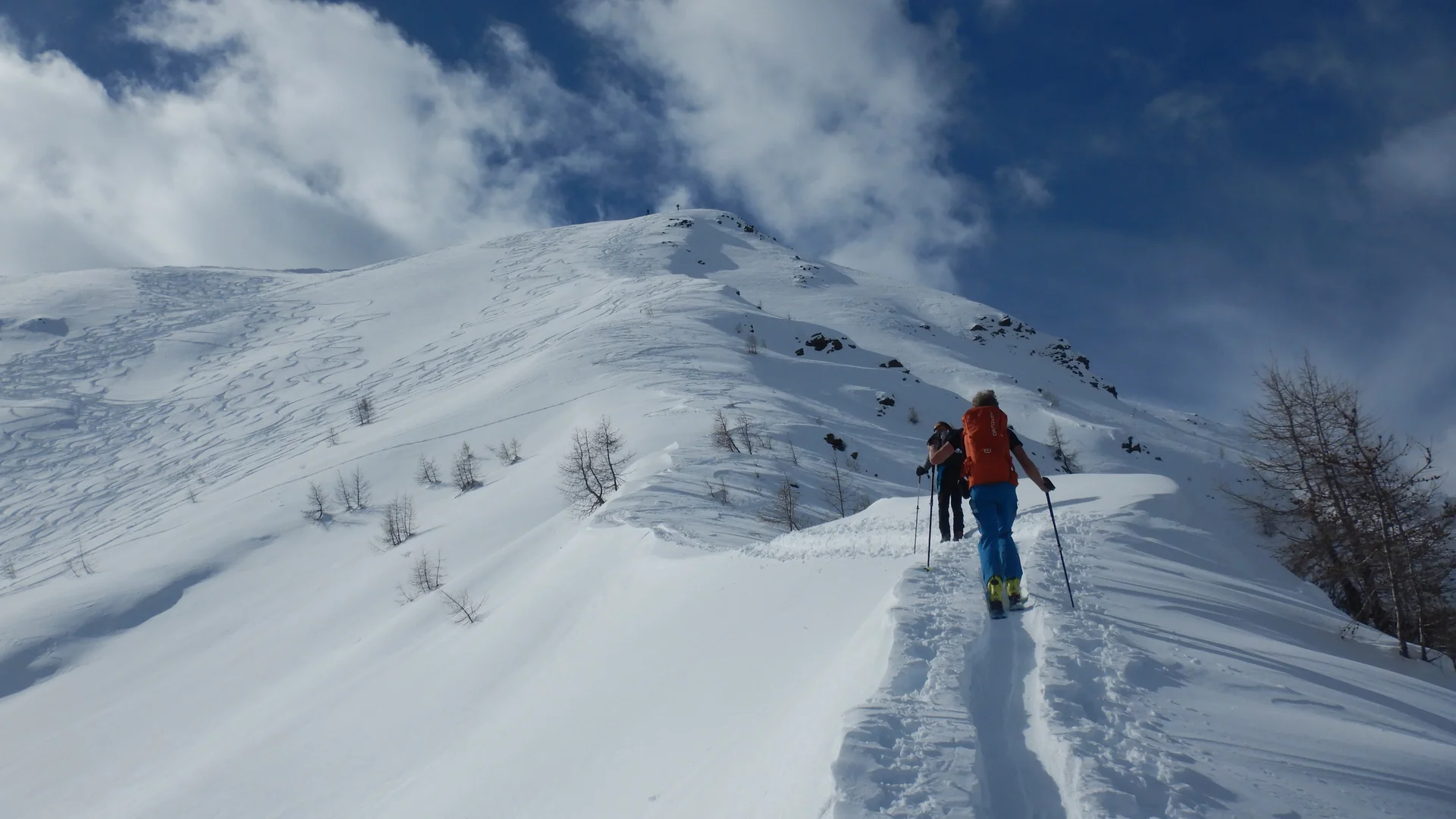 © Max Altmannshofer