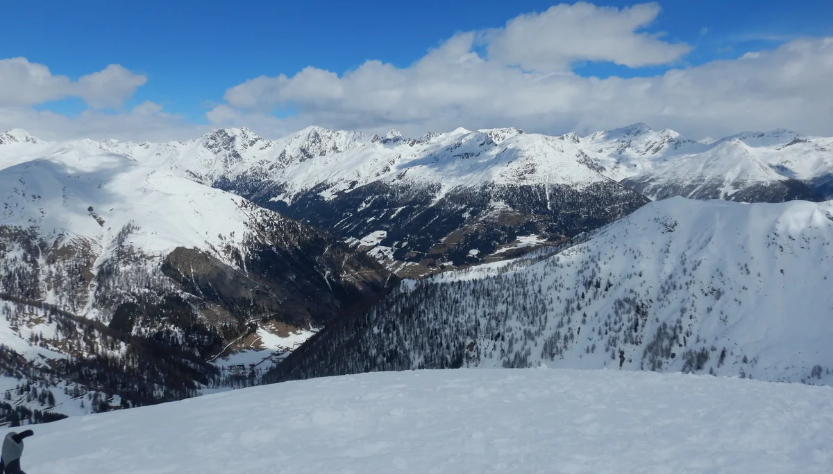 © Max Altmannshofer