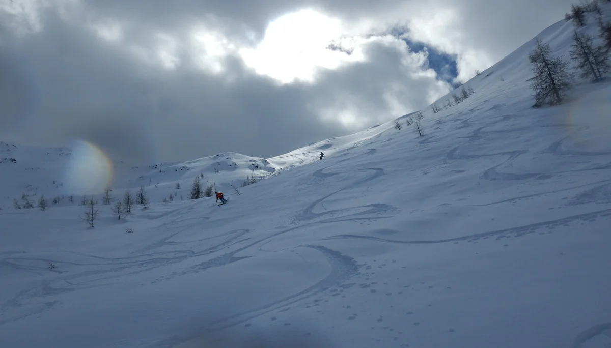 © Max Altmannshofer