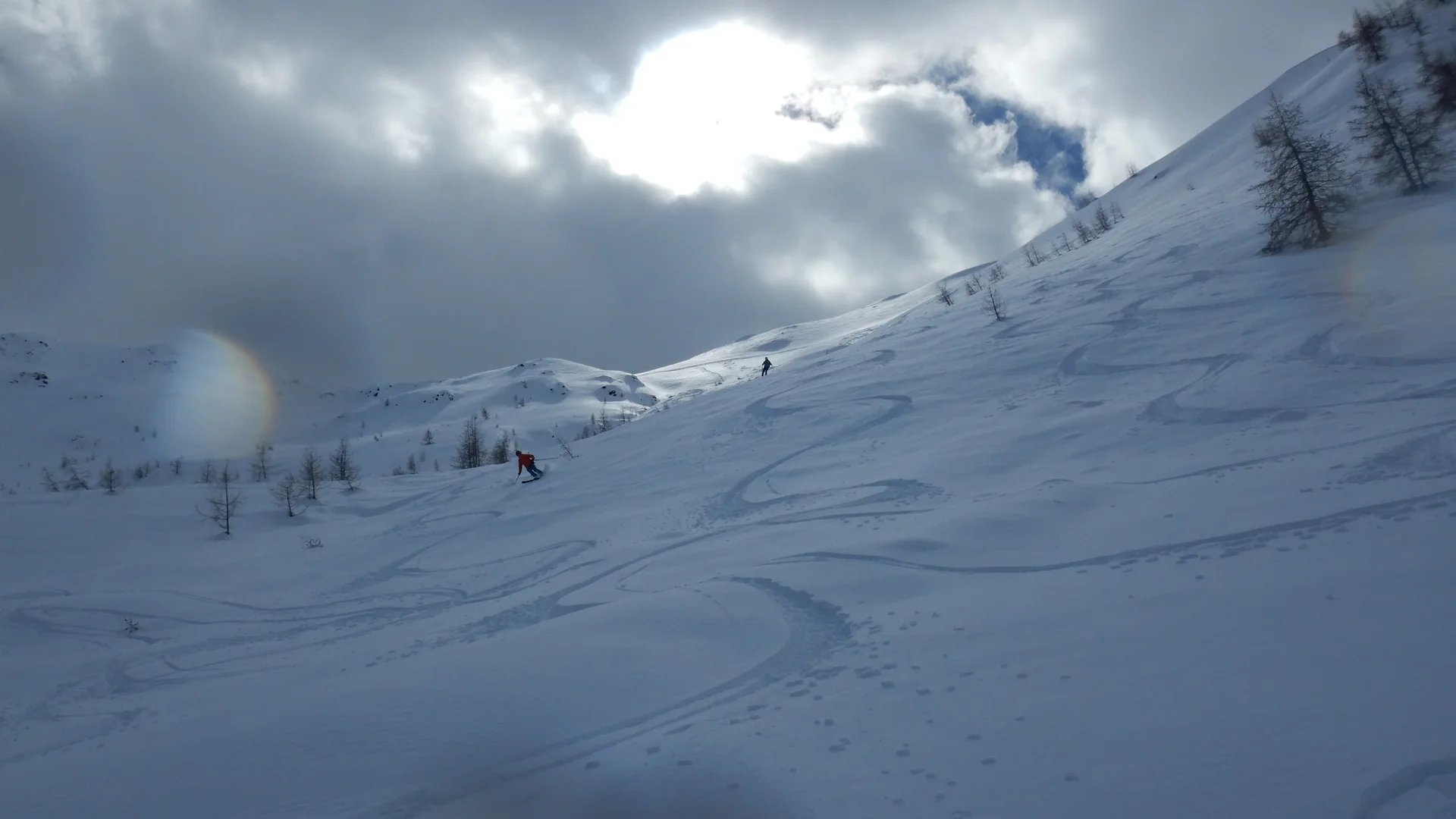 © Max Altmannshofer