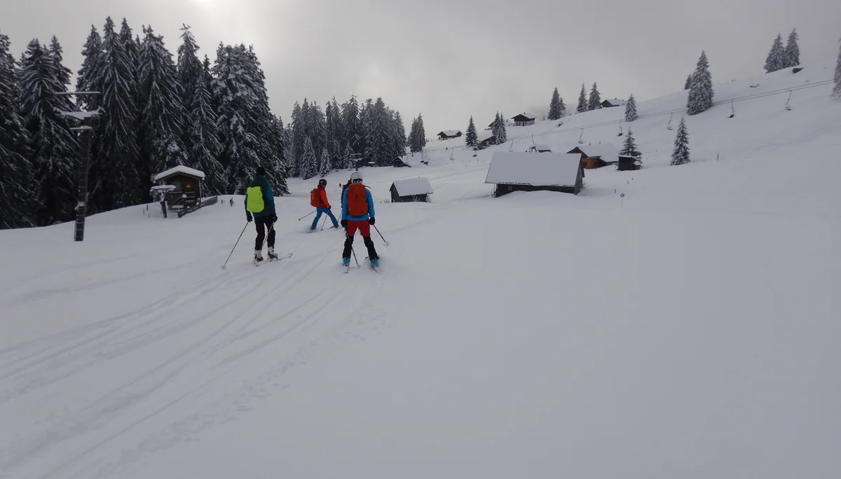 © Max Altmannshofer