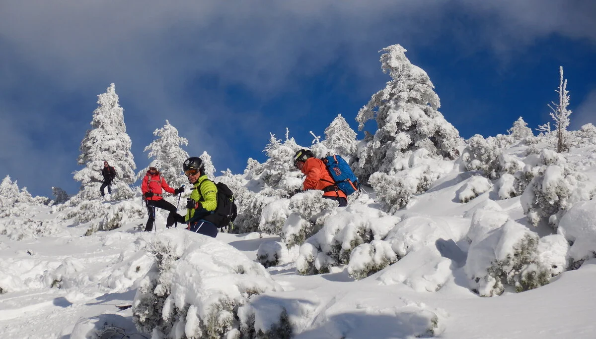 © Max Altmannshofer