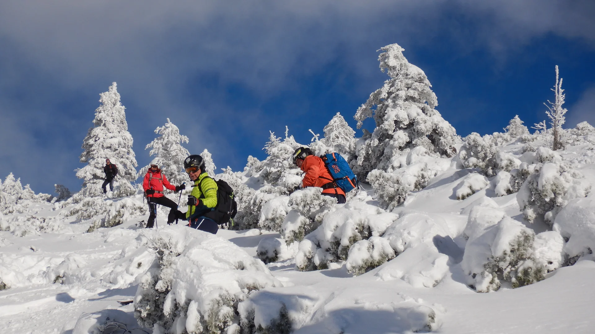 © Max Altmannshofer