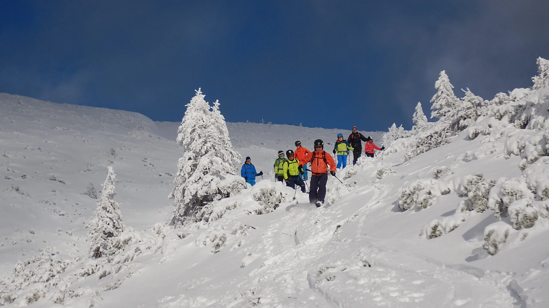 © Max Altmannshofer