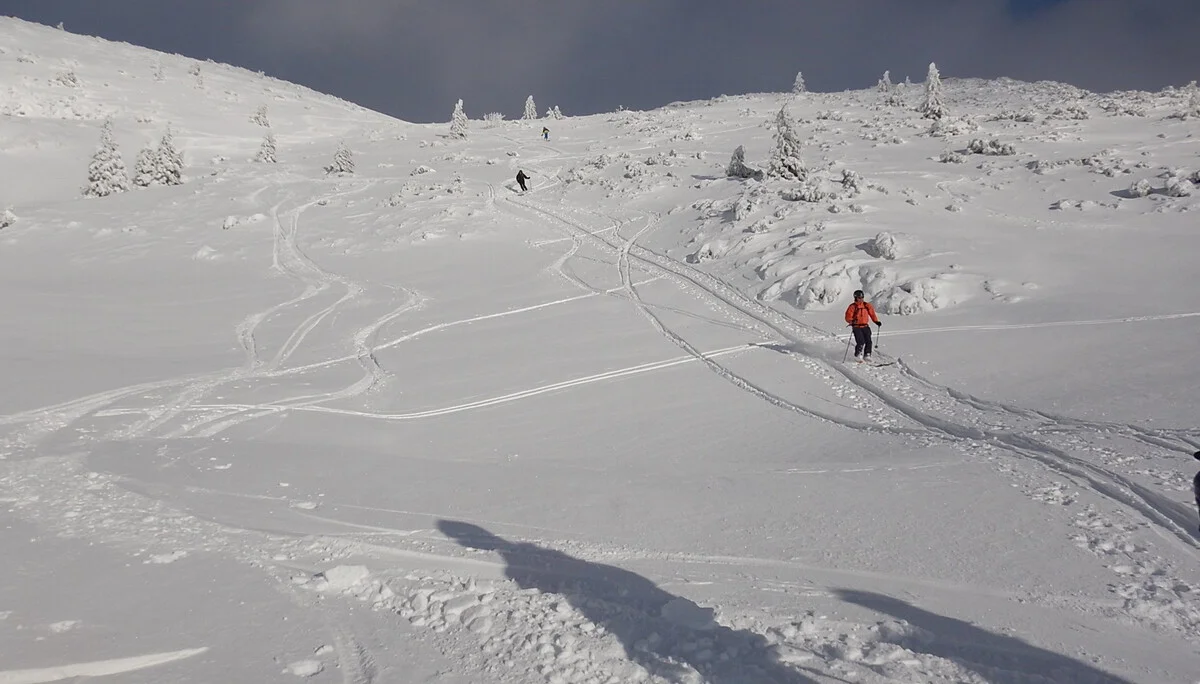 © Max Altmannshofer