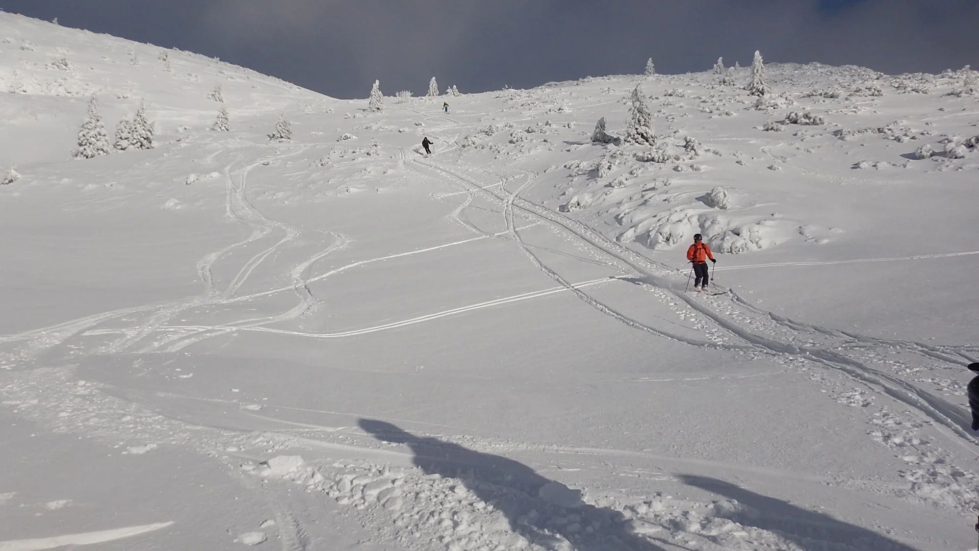 © Max Altmannshofer