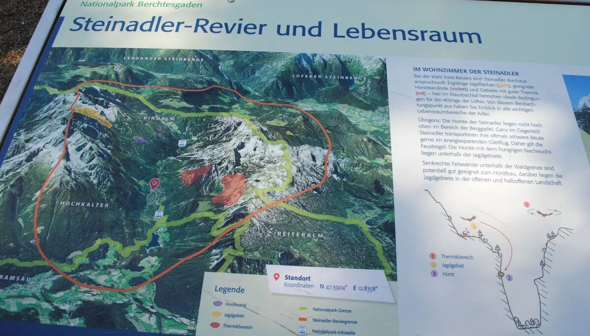 © (DAV Gangkofen) Steinadlerstation