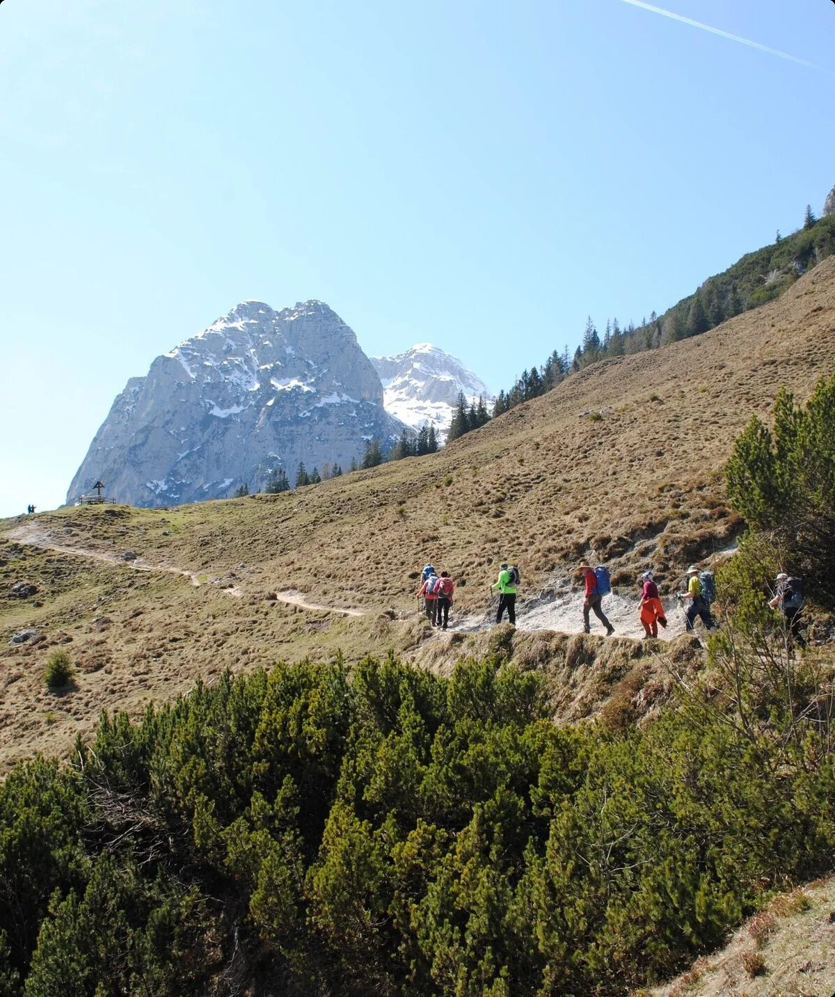 © (DAV Gangkofen) Auf der Halsalm