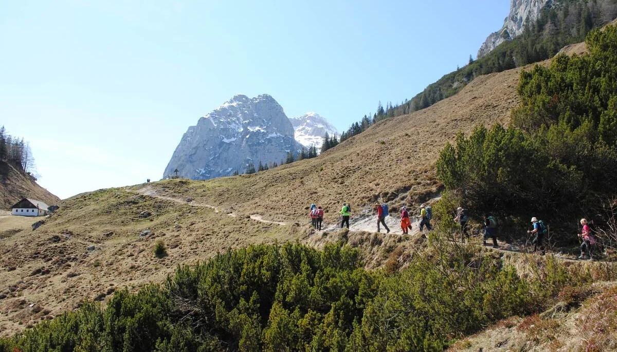 © (DAV Gangkofen) Auf der Halsalm