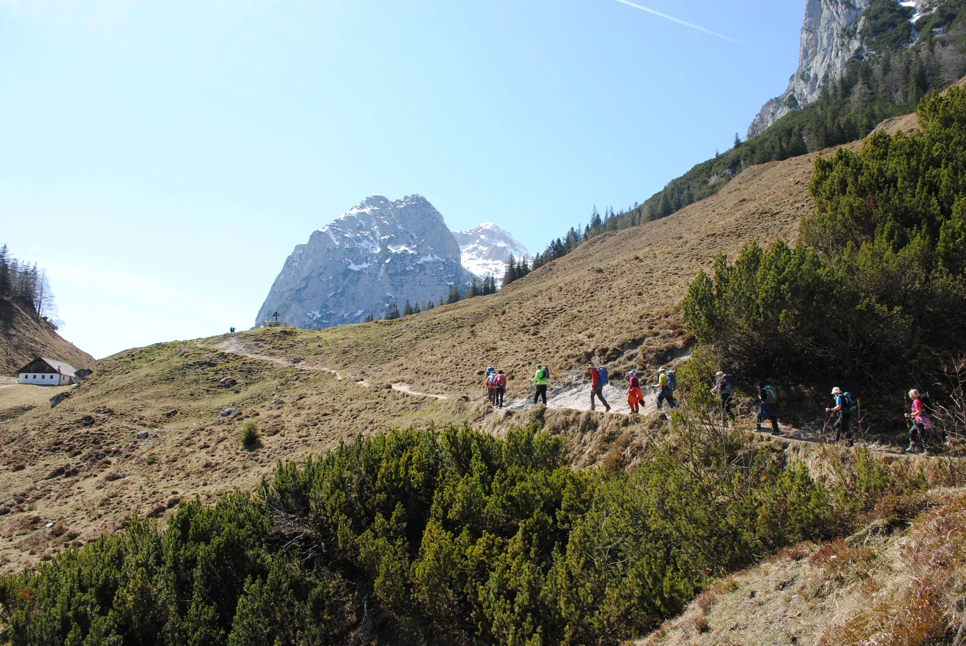 © (DAV Gangkofen) Auf der Halsalm