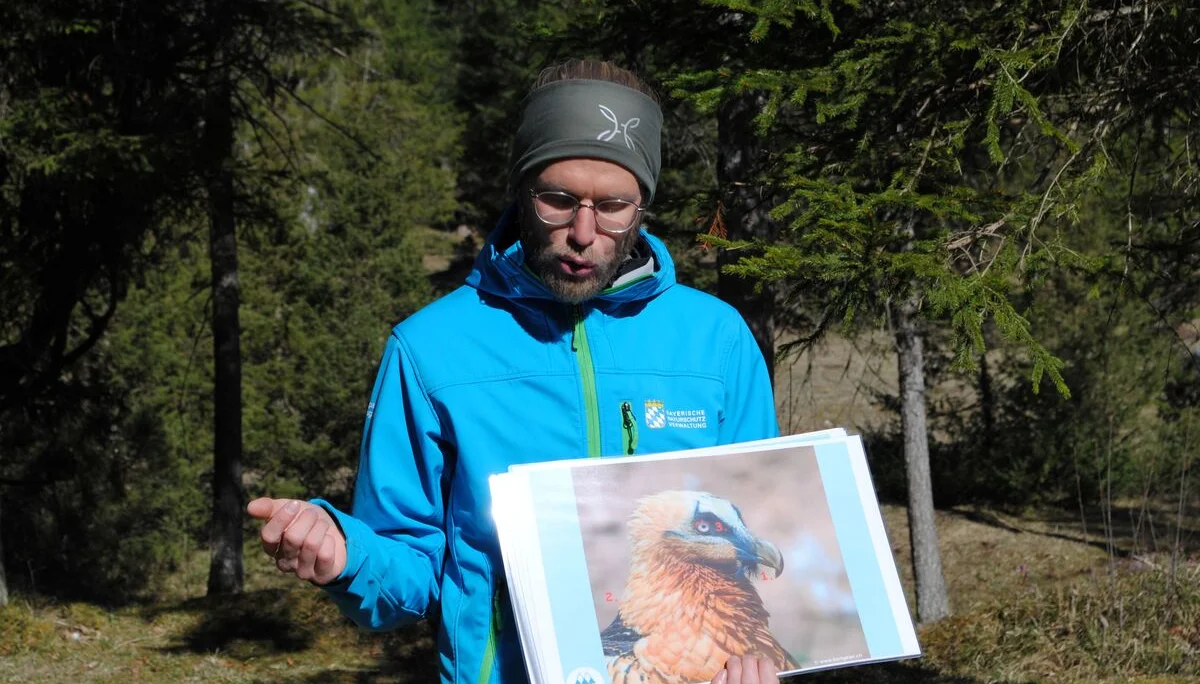 © (DAV Gangkofen) Daniel erläutert das Wiederansiedlungsprojekt für Bartgeier