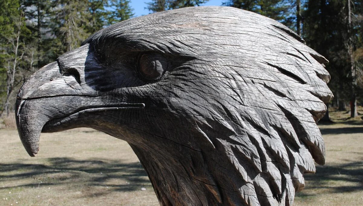 © (DAV Gangkofen) Steinadlerstation