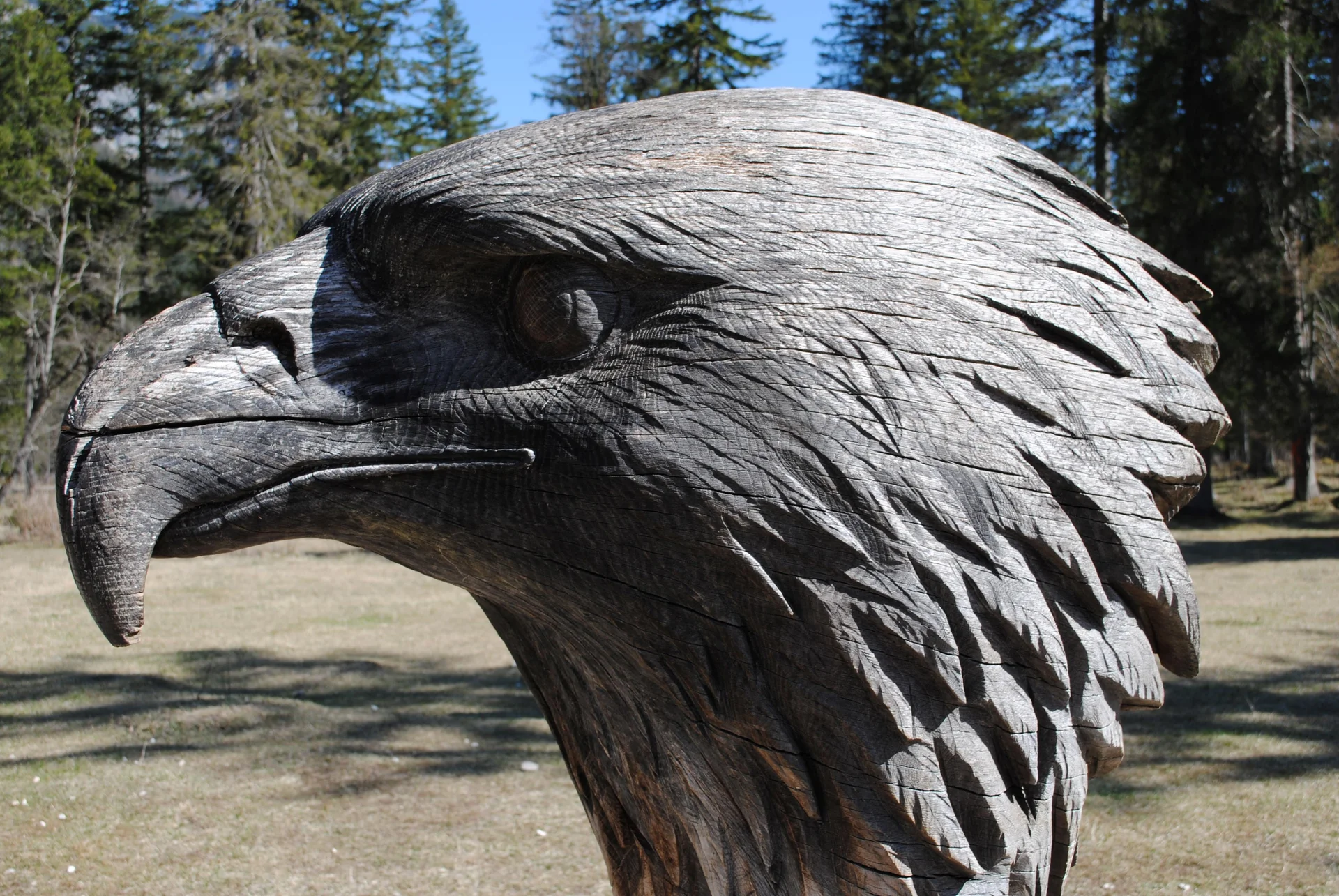 © (DAV Gangkofen) Steinadlerstation