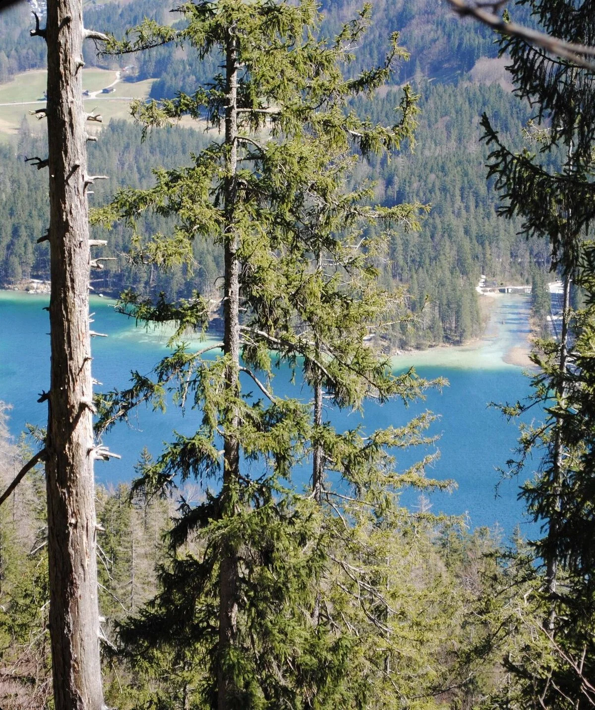 © (DAV Gangkofen) Aufstieg, Blick hinab zum Hintersee