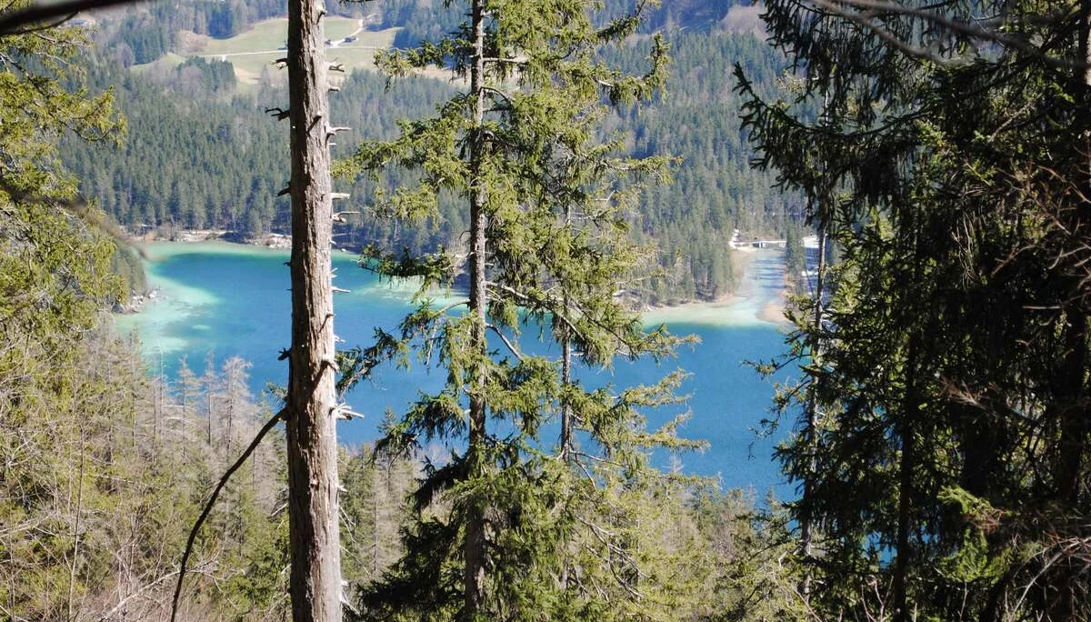 © (DAV Gangkofen) Aufstieg, Blick hinab zum Hintersee