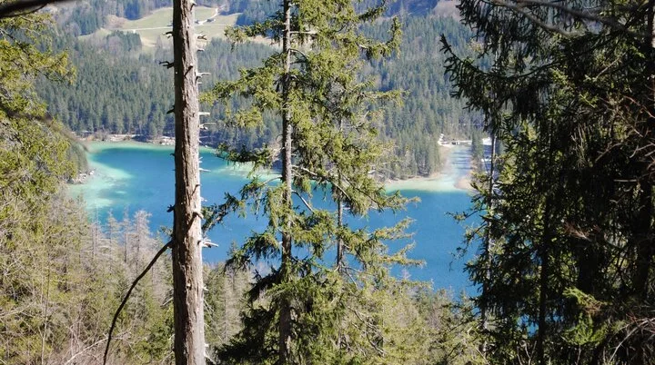 © (DAV Gangkofen) Aufstieg, Blick hinab zum Hintersee