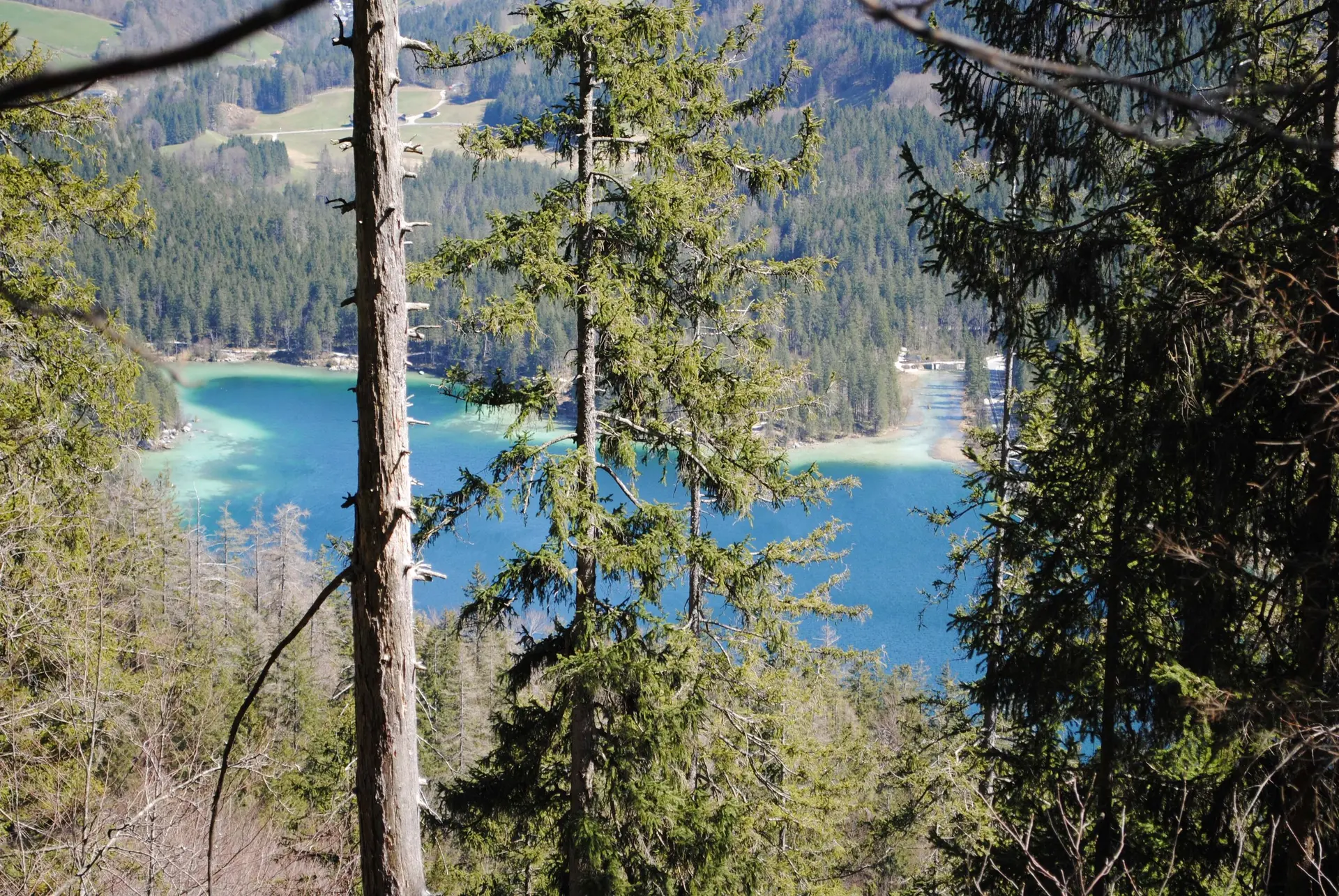 © (DAV Gangkofen) Aufstieg, Blick hinab zum Hintersee