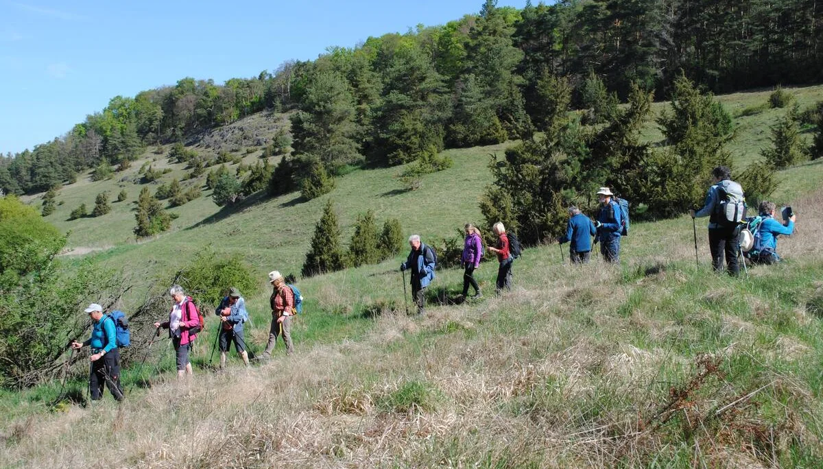 © (DAV Gangkofen) Kalkmagerrasen mit Wacholderbewuchs