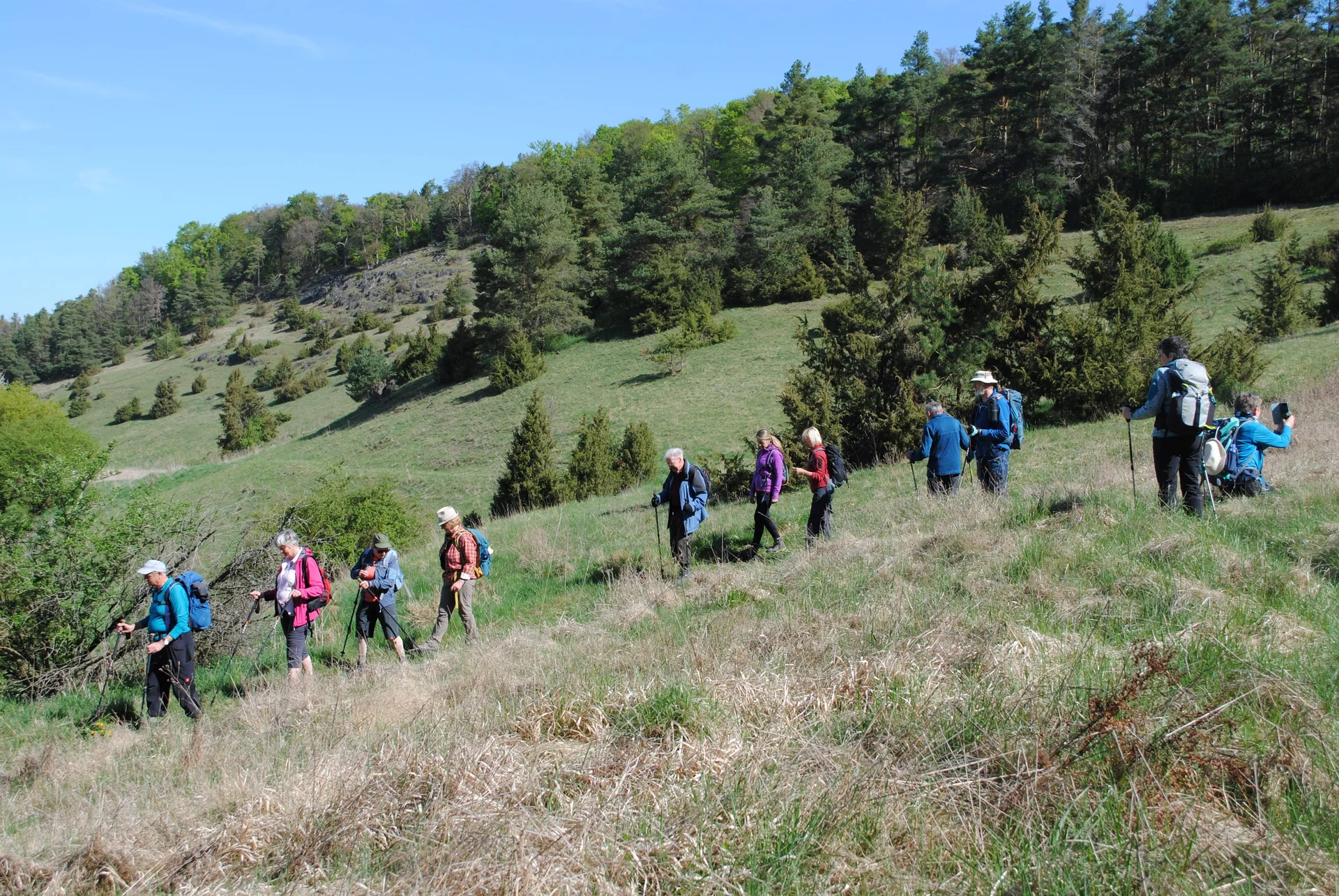 © (DAV Gangkofen) Kalkmagerrasen mit Wacholderbewuchs