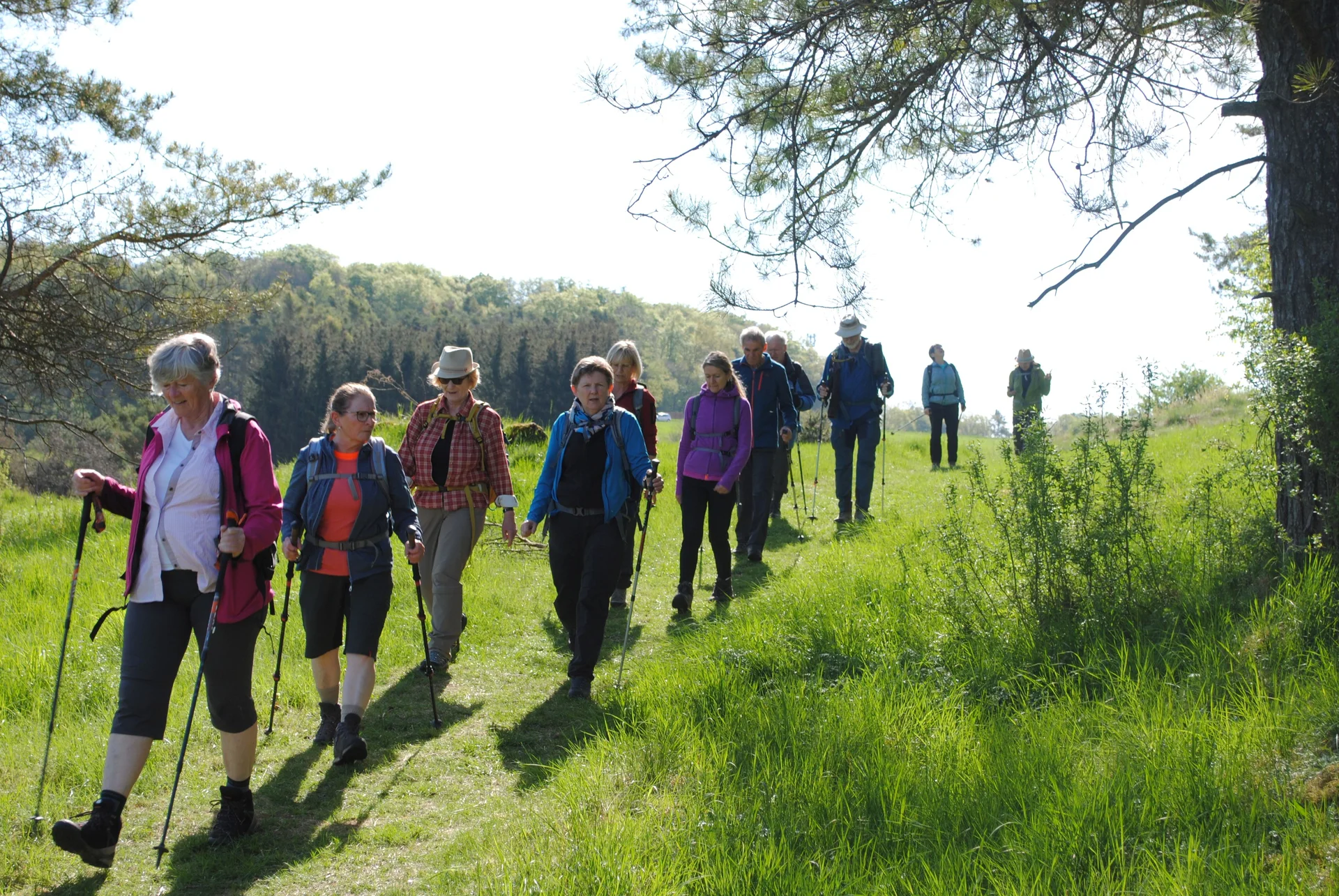 © (DAV Gangkofen) Unterwegs südlich von Altmannstein