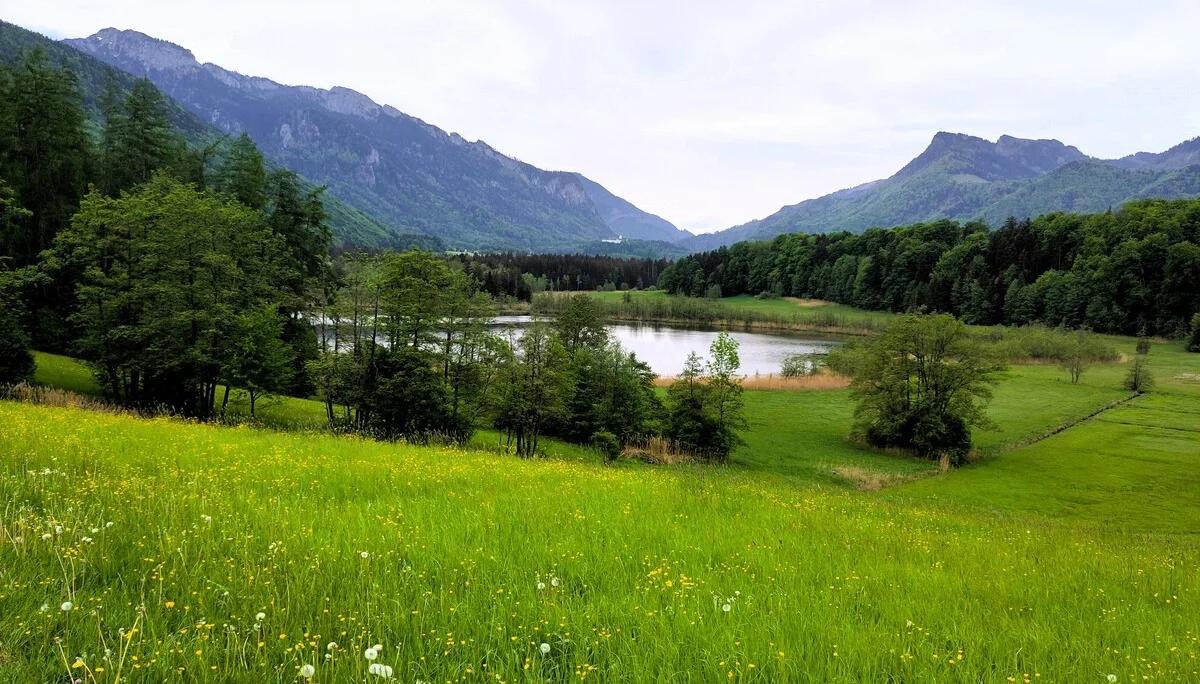 © (Anastasia Landendinger)