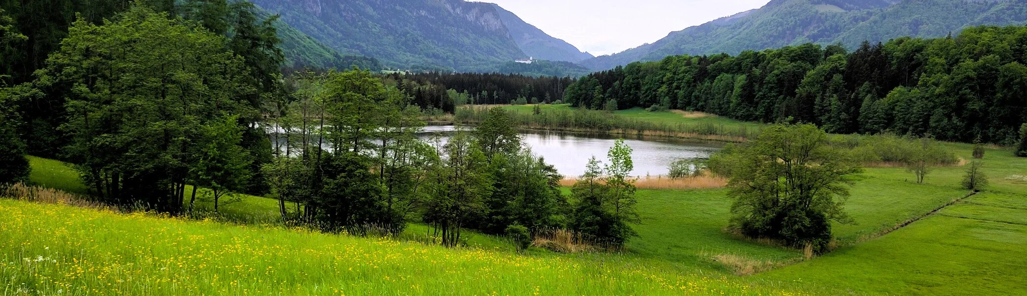 © (Anastasia Landendinger)