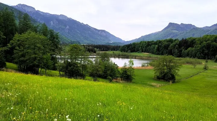 © (Anastasia Landendinger)