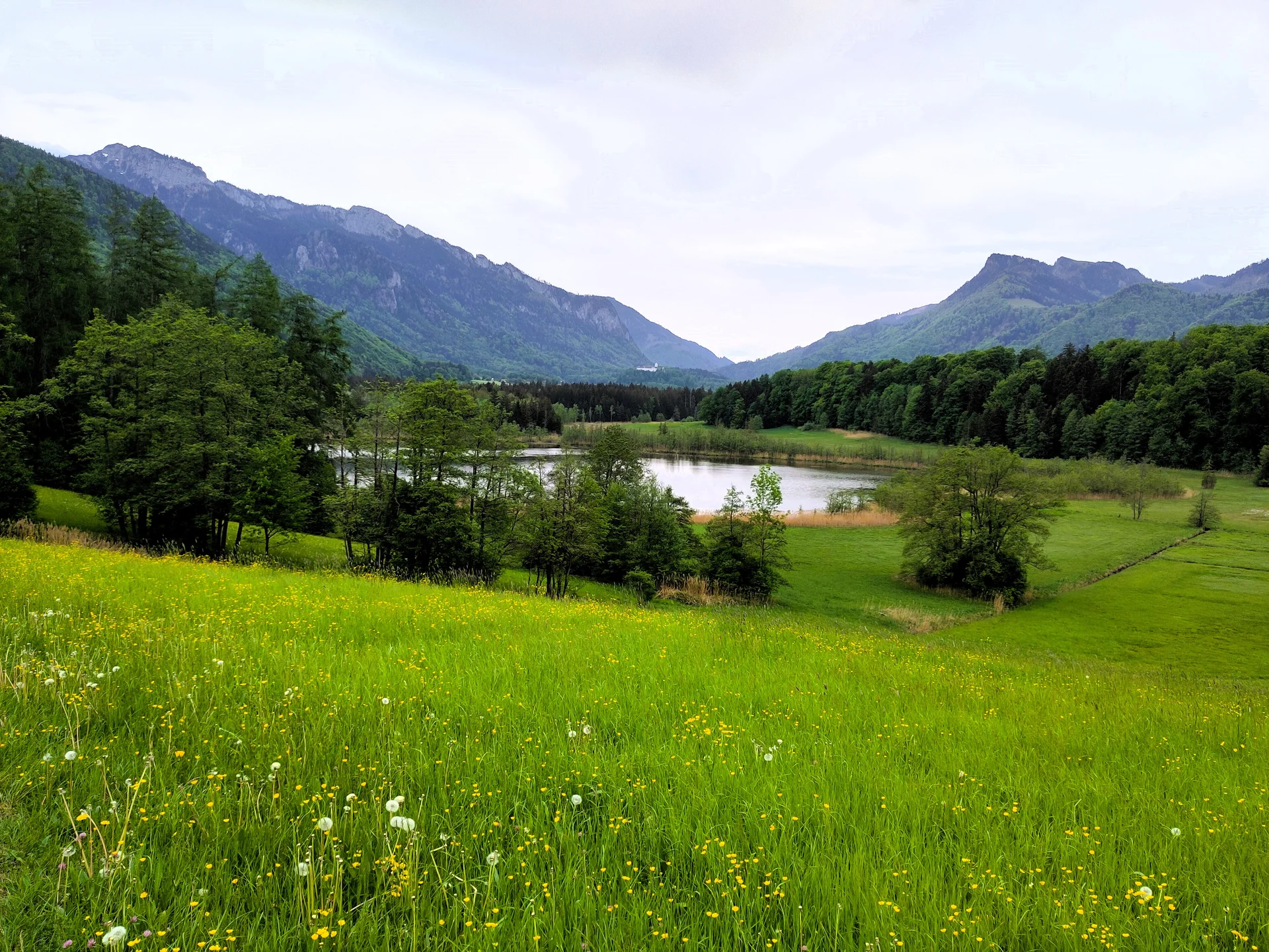 © (Anastasia Landendinger)