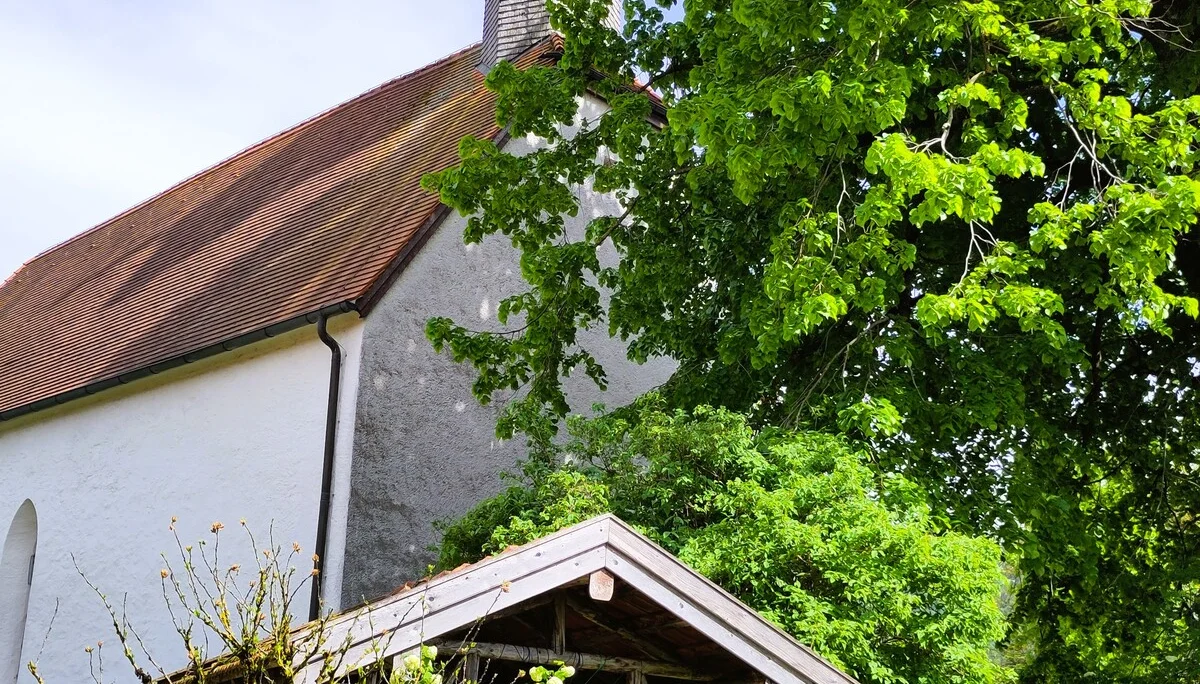 © (Anastasia Landendinger)