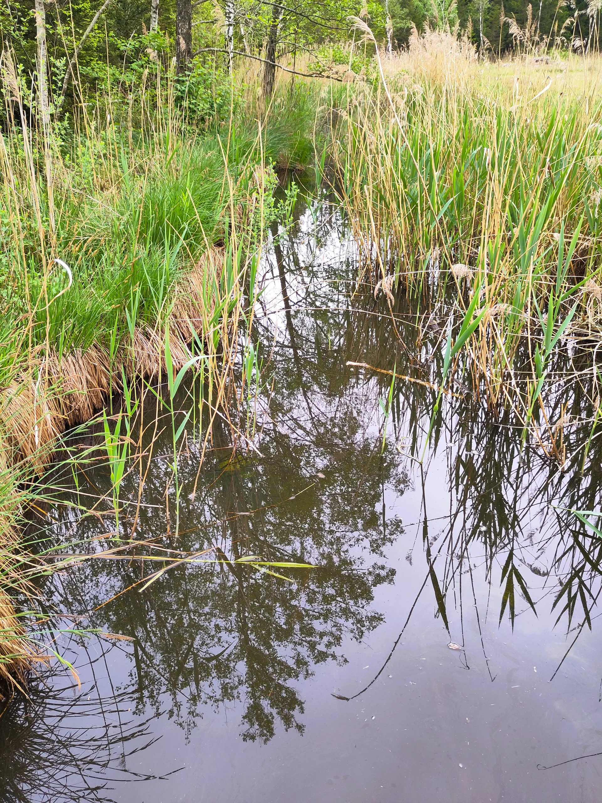 © (Anastasia Landendinger)