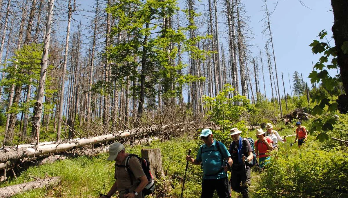 © (DAV Gangkofen) Abstieg