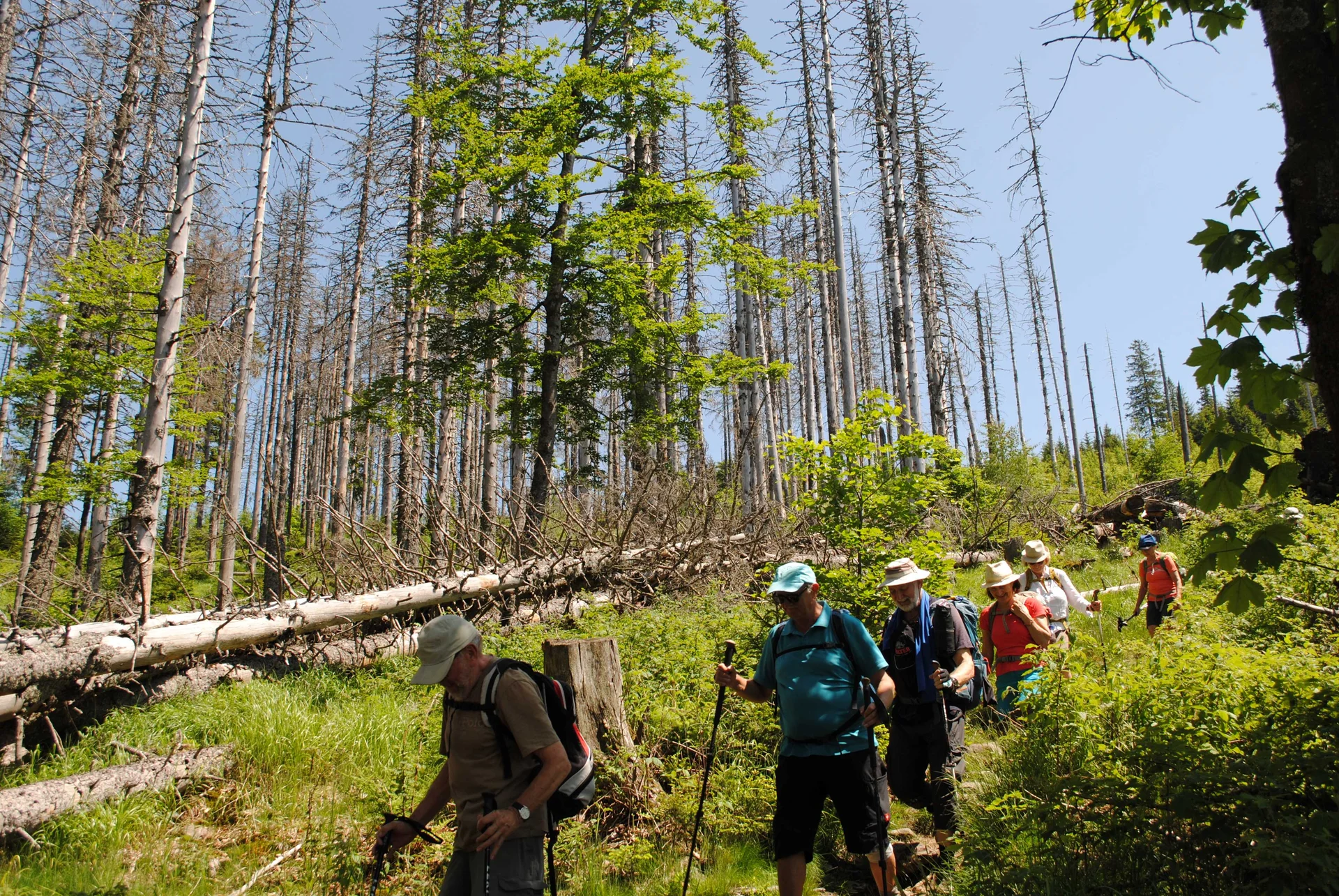 © (DAV Gangkofen) Abstieg