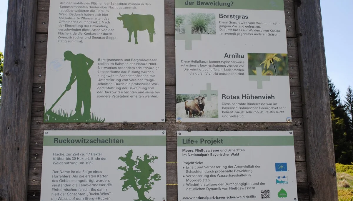 © (DAV Gangkofen) Schautafel „Schachten“