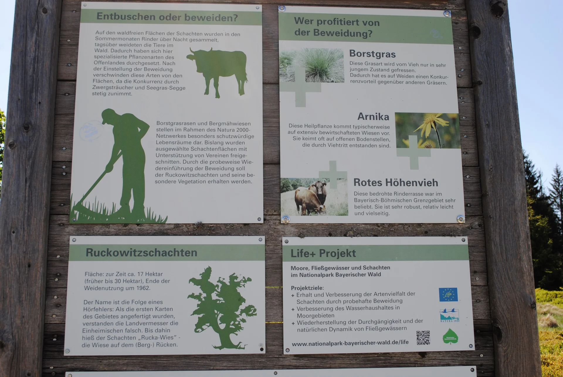 © (DAV Gangkofen) Schautafel „Schachten“