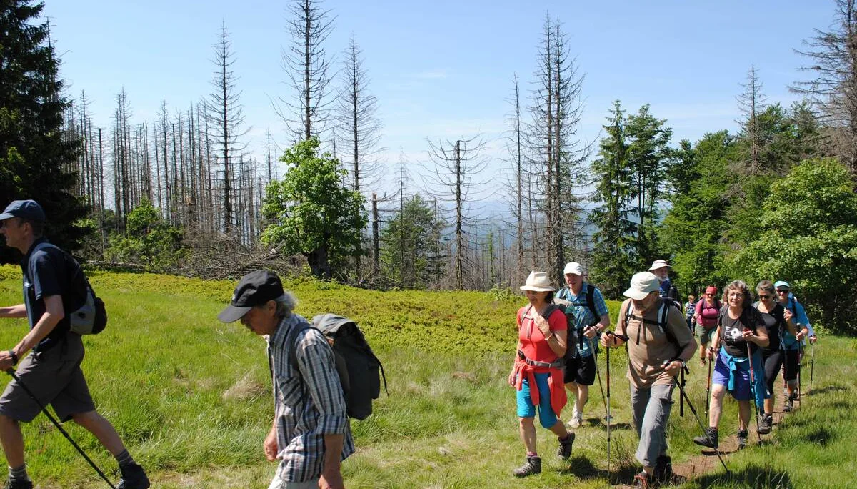 © (DAV Gangkofen) Gruppe auf dem Ruckowitzschachten