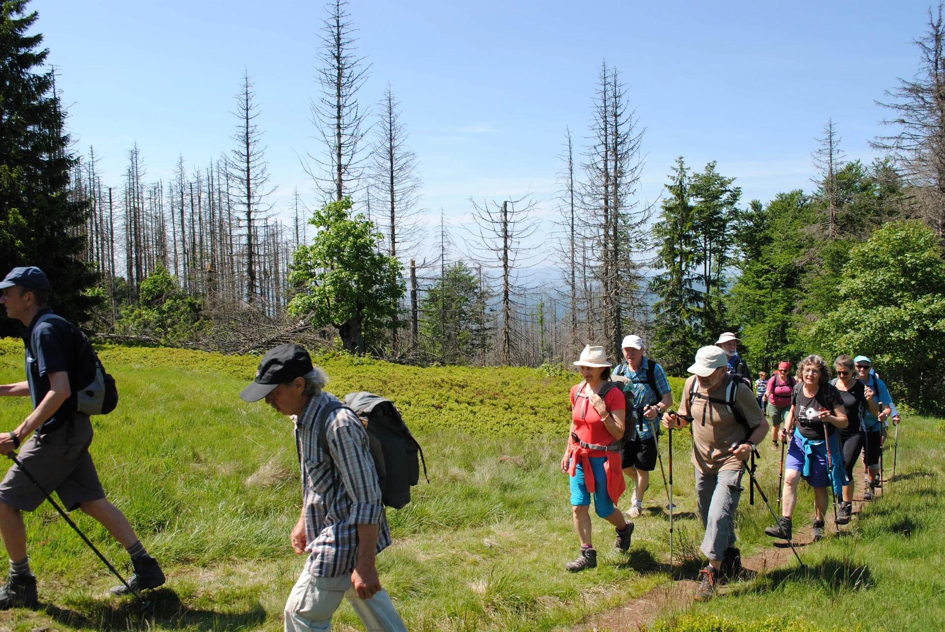 © (DAV Gangkofen) Gruppe auf dem Ruckowitzschachten