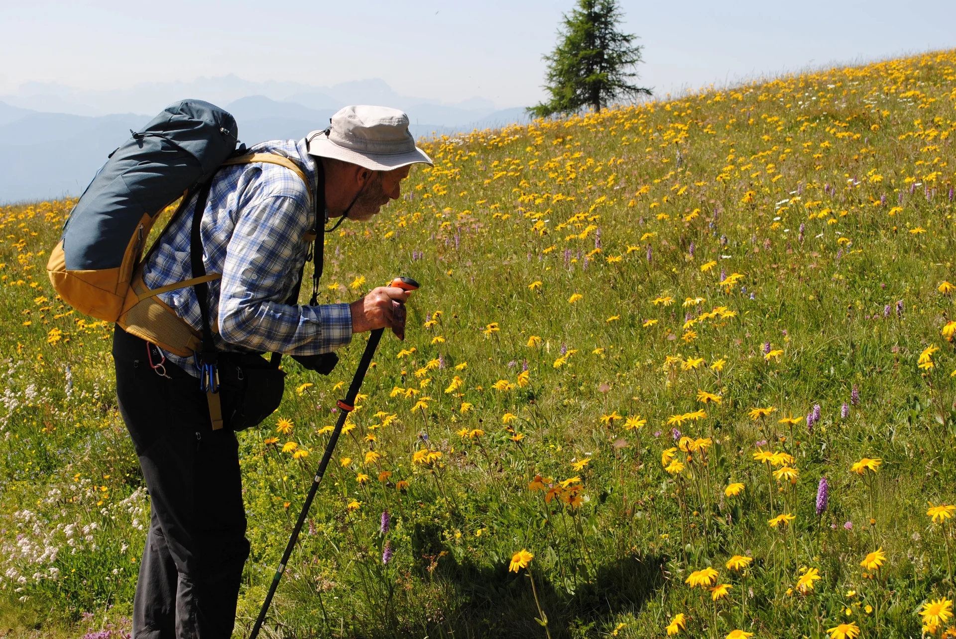 © (DAV Gangkofen)  Blumenexperte Achim