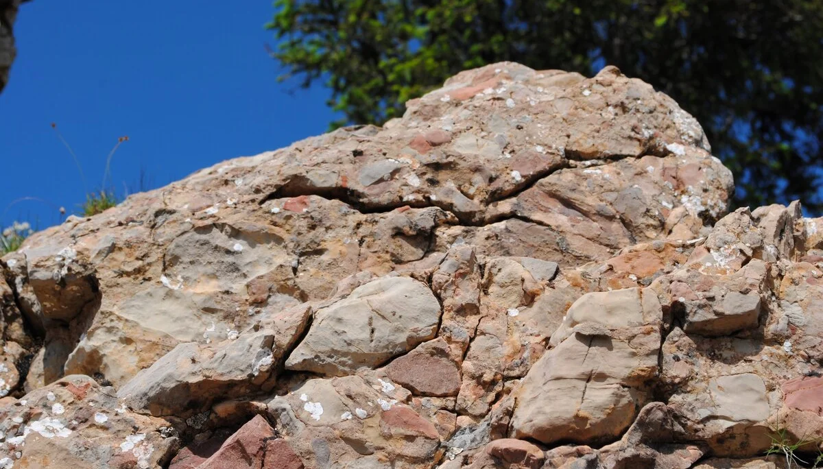 © (DAV Gangkofen) Muschelkalk-Konglomerat auf der Kammleiten, 250 Millionen Jahre alt