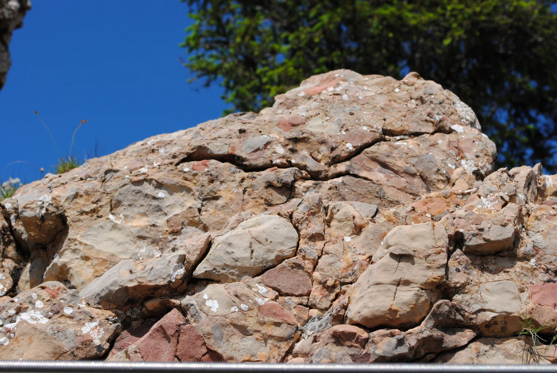 © (DAV Gangkofen) Muschelkalk-Konglomerat auf der Kammleiten, 250 Millionen Jahre alt