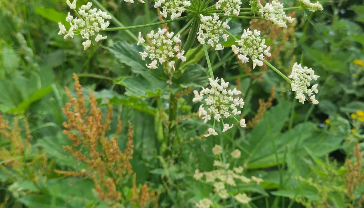 © (DAV-Gangkofen) - Tag 3.13