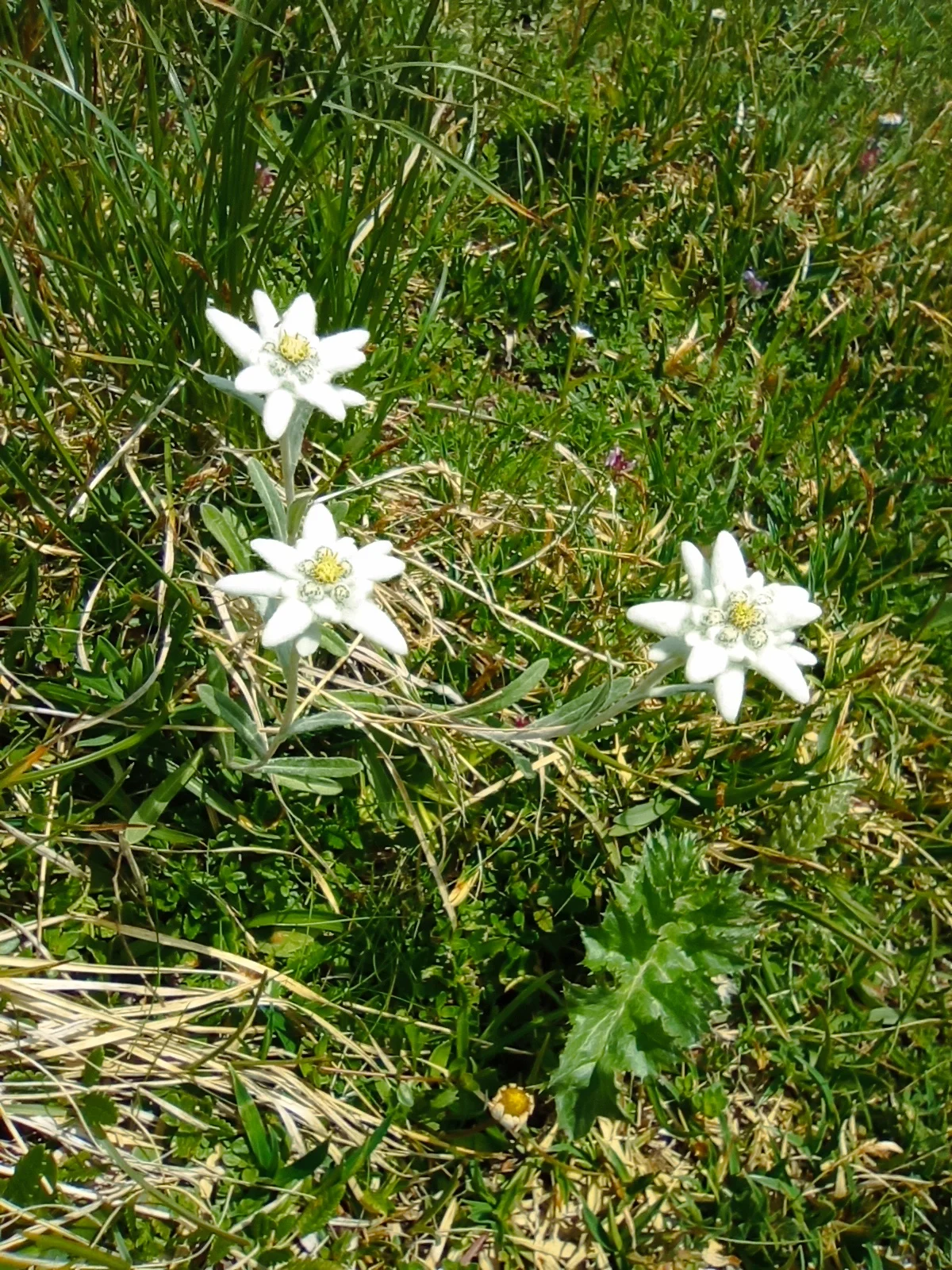 © (DAV-Gangkofen) - Tag 2.3