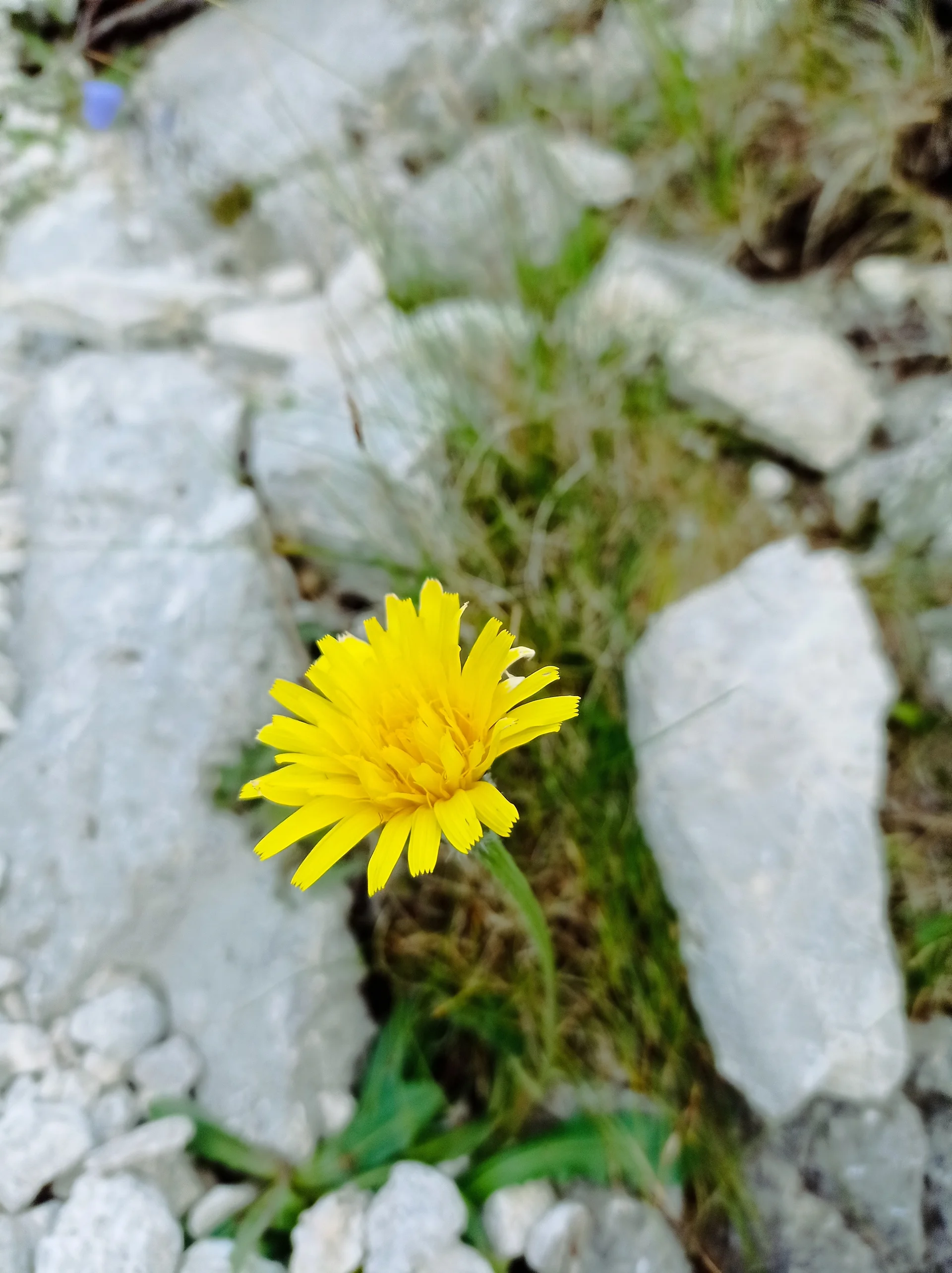 © DAV-Gangkofen - 