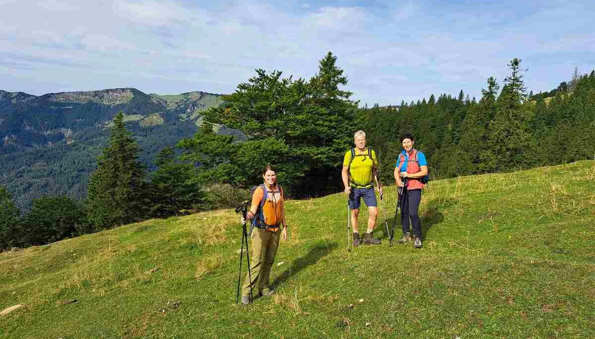 © (DAV Gangkofen) Die unteren Wiesen der Hofbauernalm