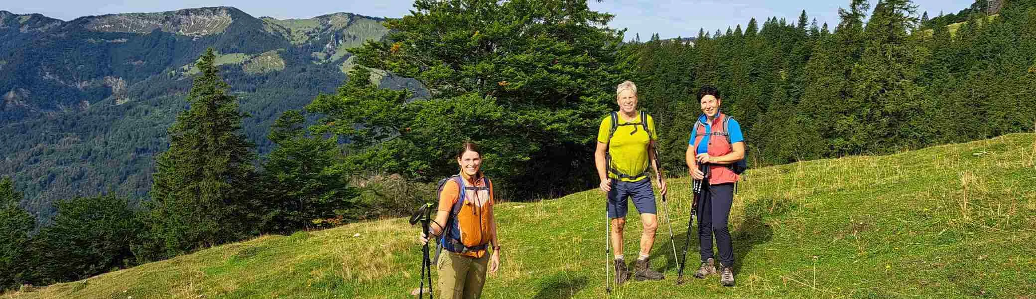© (DAV Gangkofen) Die unteren Wiesen der Hofbauernalm