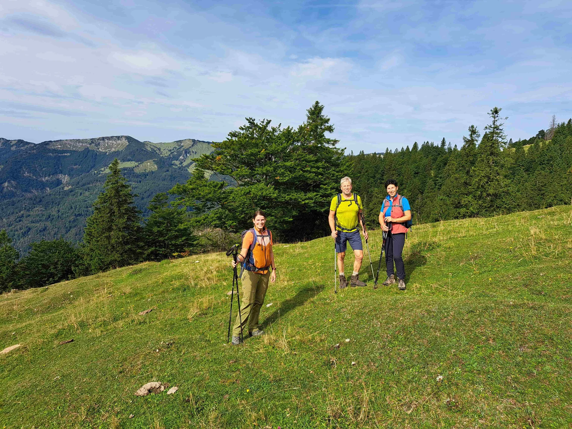 © (DAV Gangkofen) Die unteren Wiesen der Hofbauernalm