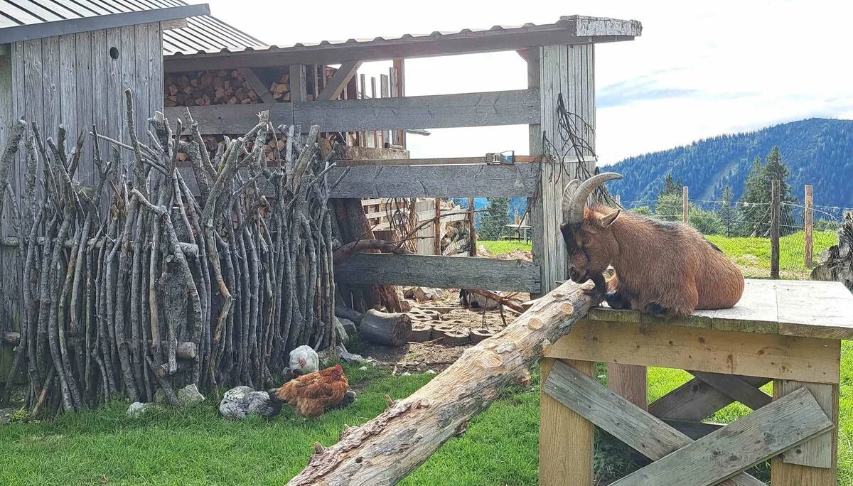 © (DAV Gangkofen) Hofbauernalm