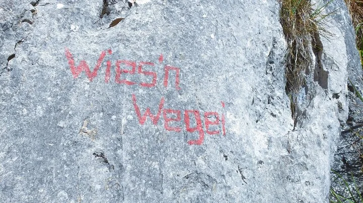 © (DAV Gangkofen) Klettertour Wiesenwegei