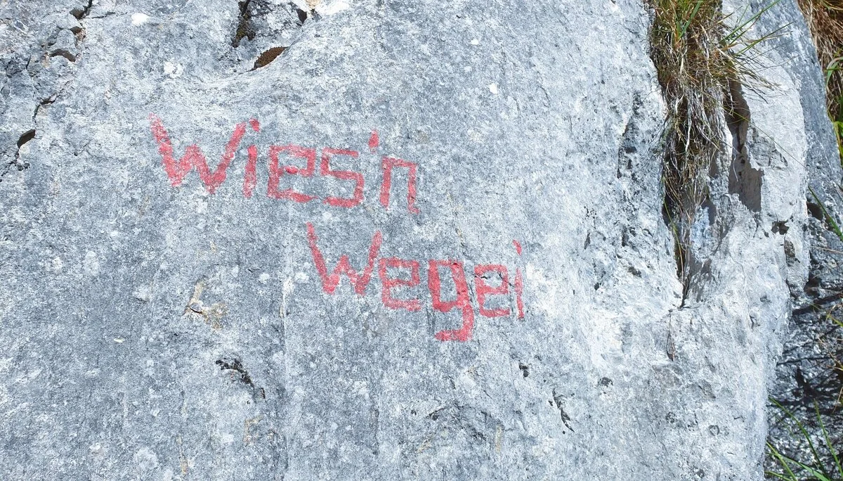 © (DAV Gangkofen) Klettertour Wiesenwegei