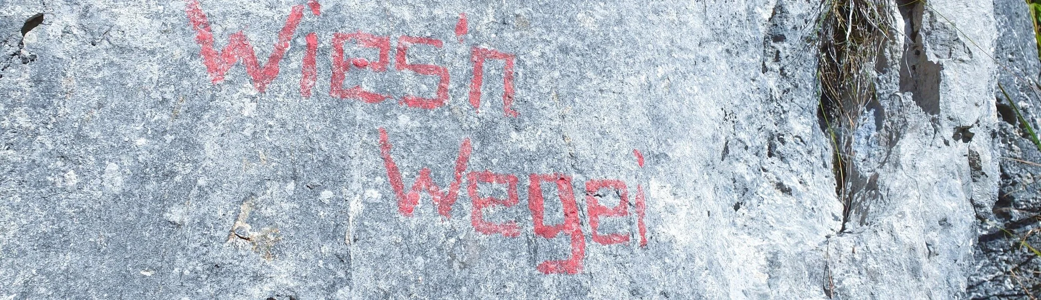 © (DAV Gangkofen) Klettertour Wiesenwegei