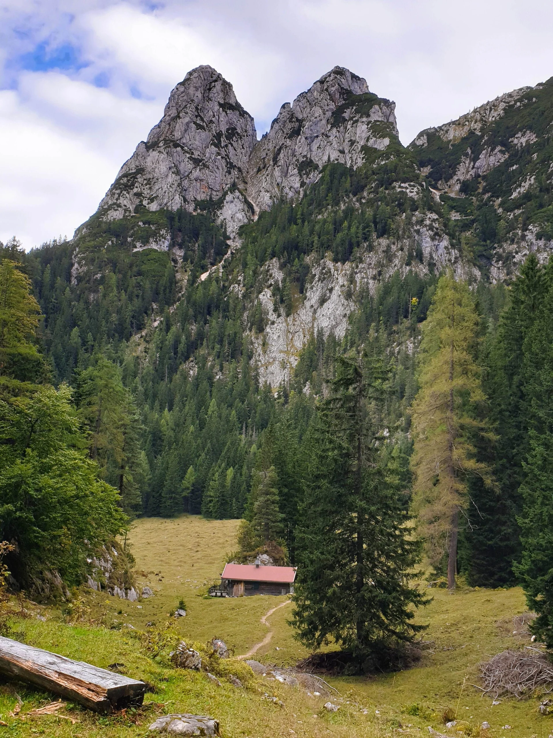 © (DAV Gangkofen) Über den Alpasteig zur Alpaalm